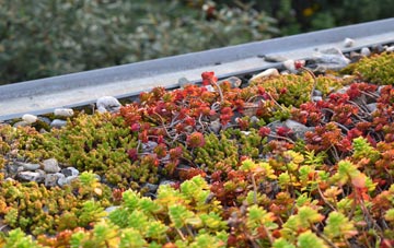 the cost of Upper Swainswick green roof installation